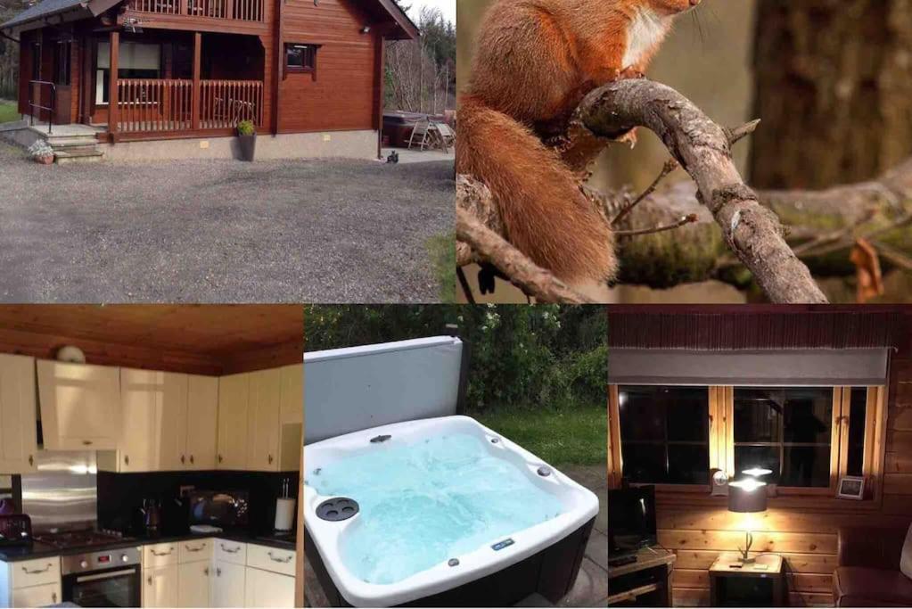 Red Squirrel Log Cabin With Hot Tub Keith Exterior photo